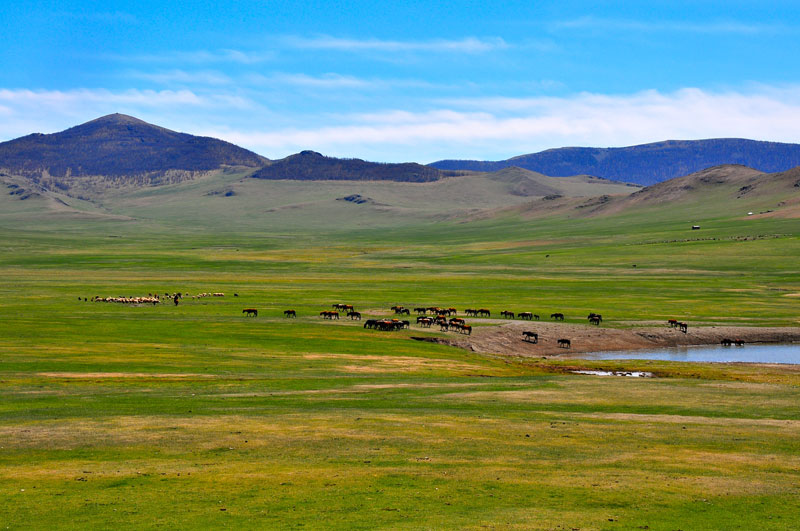 Mongolie
